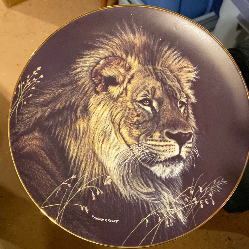 The Hamilton collection presents African lion plate.